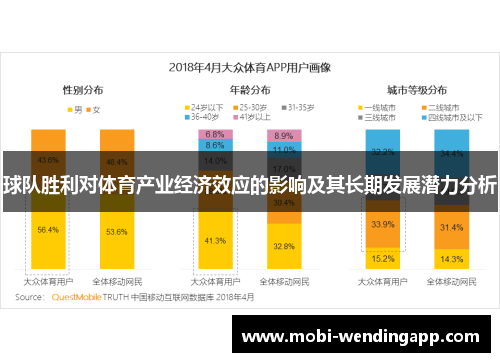 球队胜利对体育产业经济效应的影响及其长期发展潜力分析