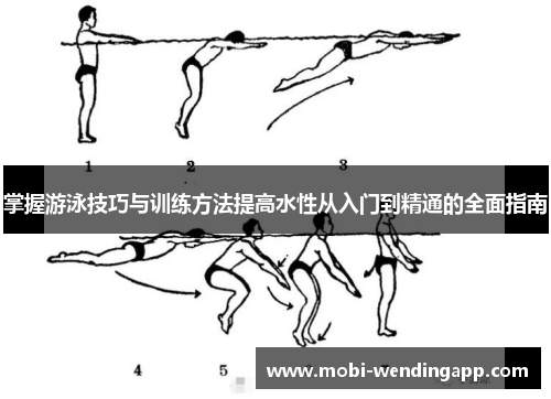 掌握游泳技巧与训练方法提高水性从入门到精通的全面指南