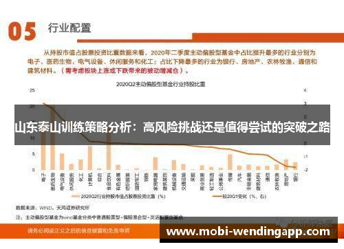山东泰山训练策略分析：高风险挑战还是值得尝试的突破之路