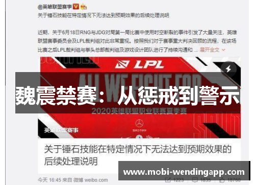 魏震禁赛：从惩戒到警示