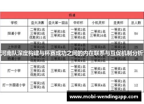 河南队深度构建与杯赛成功之间的内在联系与互促机制分析