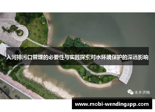 入河排污口管理的必要性与实践探索对水环境保护的深远影响