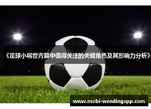《足球小将世青篇中值得关注的关键角色及其影响力分析》