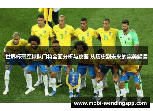 世界杯冠军球队门将全面分析与攻略 从历史到未来的完美解读