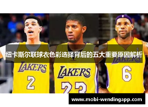 纽卡斯尔联球衣色彩选择背后的五大重要原因解析