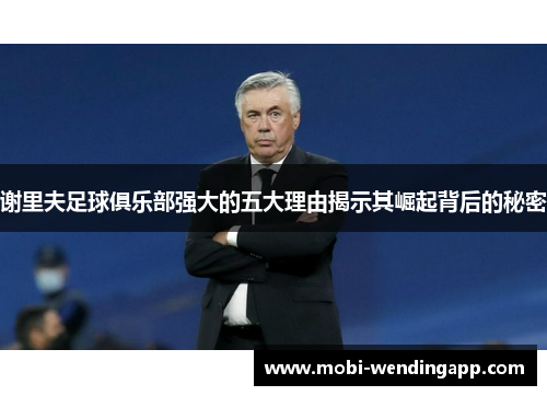 谢里夫足球俱乐部强大的五大理由揭示其崛起背后的秘密