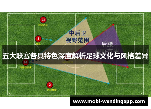 五大联赛各具特色深度解析足球文化与风格差异