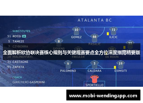 全面解析欧协联决赛核心规则与关键观赛要点全方位深度指南精要版