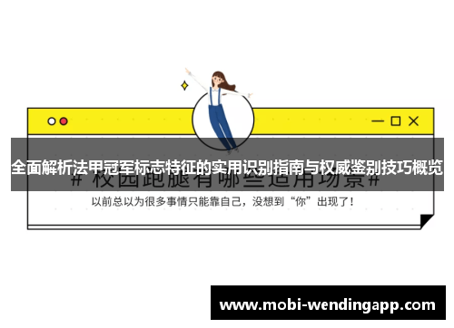 全面解析法甲冠军标志特征的实用识别指南与权威鉴别技巧概览