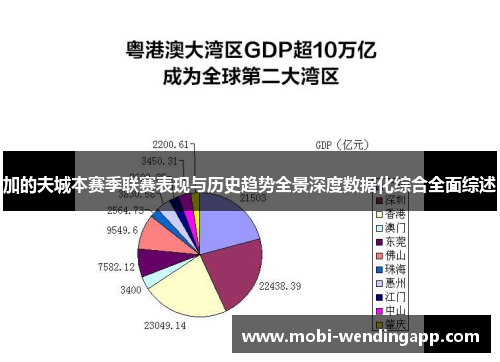 加的夫城本赛季联赛表现与历史趋势全景深度数据化综合全面综述
