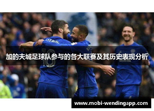 加的夫城足球队参与的各大联赛及其历史表现分析