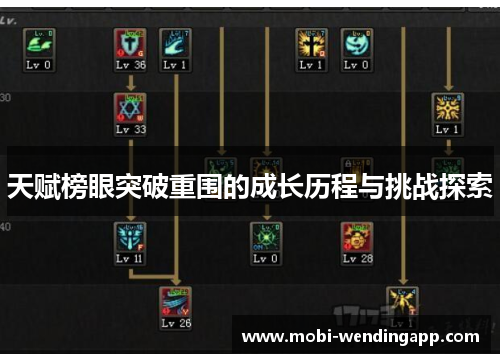 天赋榜眼突破重围的成长历程与挑战探索