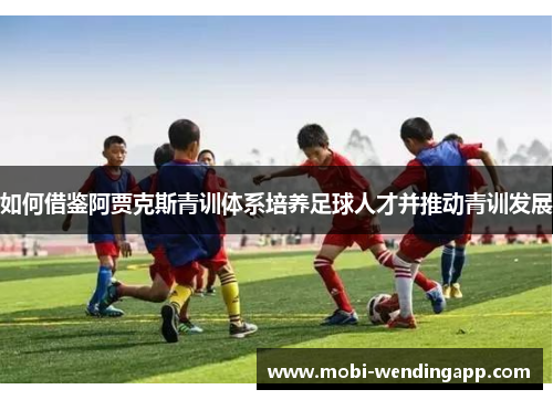 如何借鉴阿贾克斯青训体系培养足球人才并推动青训发展