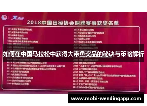 如何在中国马拉松中获得大带鱼奖品的秘诀与策略解析