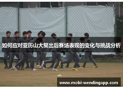 如何应对亚历山大复出后赛场表现的变化与挑战分析