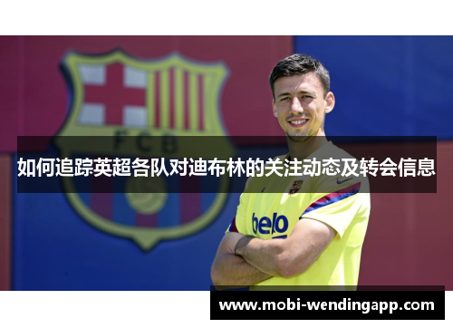如何追踪英超各队对迪布林的关注动态及转会信息 如何追踪英超各队对迪布林的关注动态及转会信息