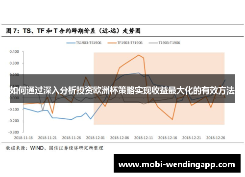 如何通过深入分析投资欧洲杯策略实现收益最大化的有效方法