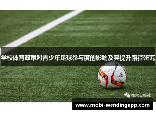 学校体育政策对青少年足球参与度的影响及其提升路径研究