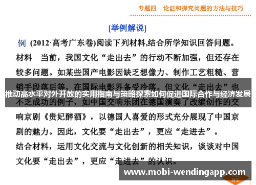 推动高水平对外开放的实用指南与策略探索如何促进国际合作与经济发展
