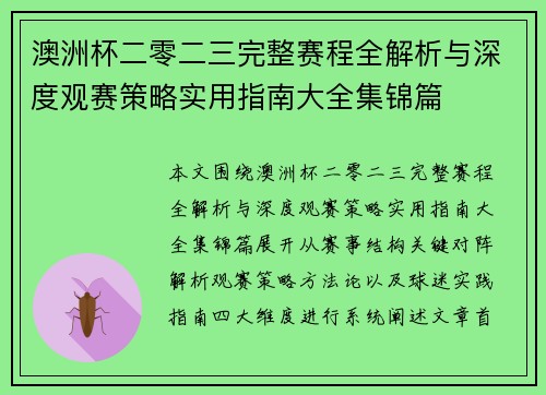 澳洲杯二零二三完整赛程全解析与深度观赛策略实用指南大全集锦篇